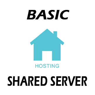 Basic Website Hosting