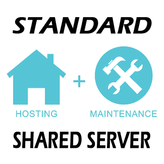 Website Hosting and Maintenance